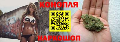 стаф Кингисепп