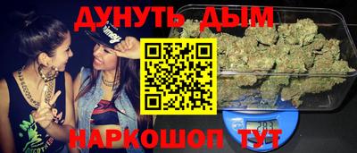 стаф Кингисепп