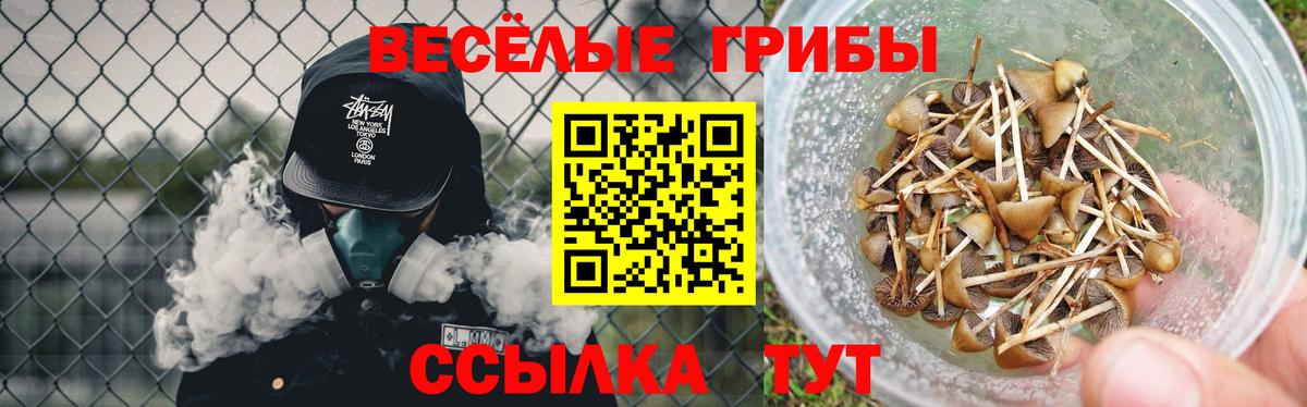 Галлюциногенные грибы MAGIC MUSHROOMS  Вход с VPN  Галлюциногенные грибы Psilocybe  Каспийск 